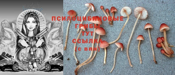 jwh Лагань